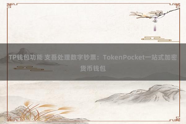 TP钱包功能 支吾处理数字钞票：TokenPocket一站式加密货币钱包