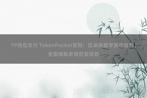 TP钱包支付 TokenPocket官网：区块链数字货币钱包，全面辅助多链财富惩处